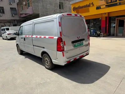 Wuling Wuling EV50