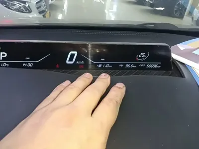 NETA Neta V