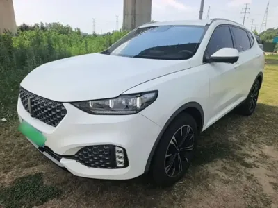 WEY Wey VV6