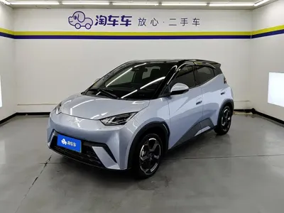 BYD Seagull