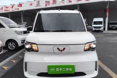 Wuling Zhiguang New Energy