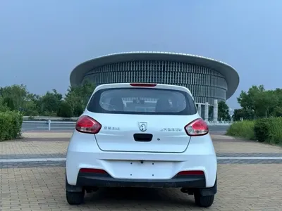 Baojun 310