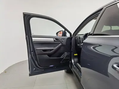 BYD Tang New Energy