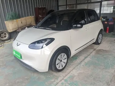 Wuling Bingo
