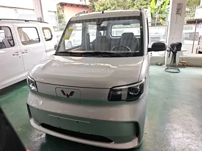 Wuling Zhiguang EV