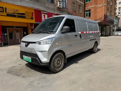 Wuling Wuling EV50