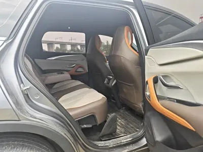 BYD Pro New Energy