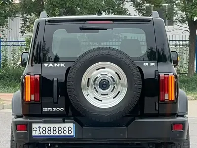 Tank Tank 300