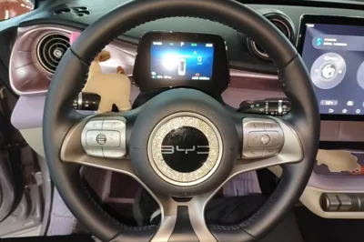 BYD Dolphin