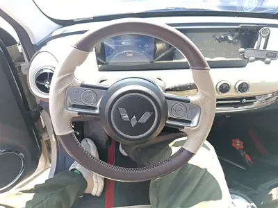 Wuling Bingo