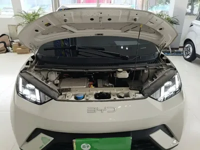 BYD Seagull
