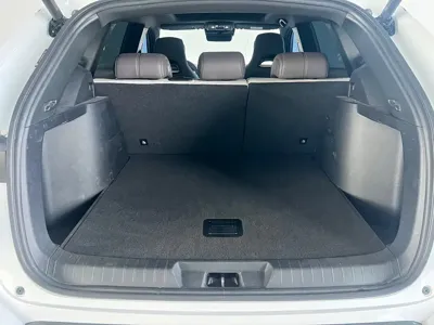 BYD PLUS New Energy