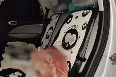 Leapmotor T03