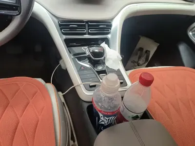 BYD Pro New Energy