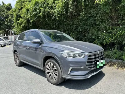 BYD Pro New Energy