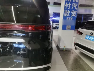 Denza D9