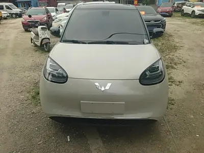 Wuling Bingo