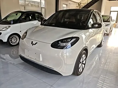 Wuling Bingo