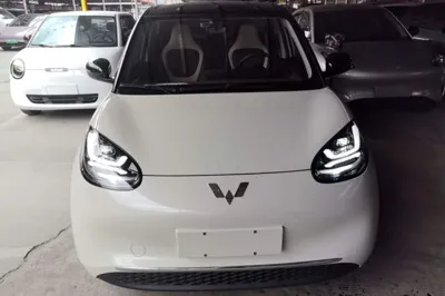 Wuling Bingo