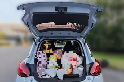 Wuling Bingo