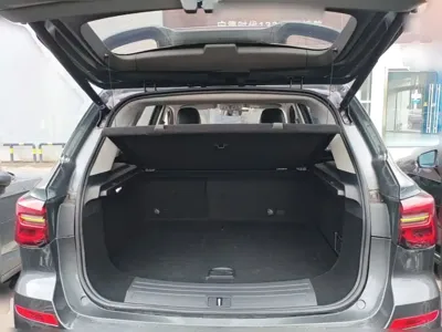 Roewe RX5 New Energy