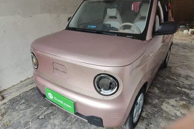 Geely Galaxy Panda