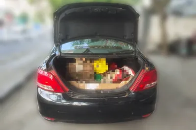 BYD Surui