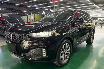 WEY VV6
