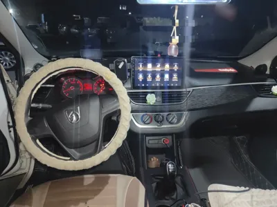 Baojun 310W