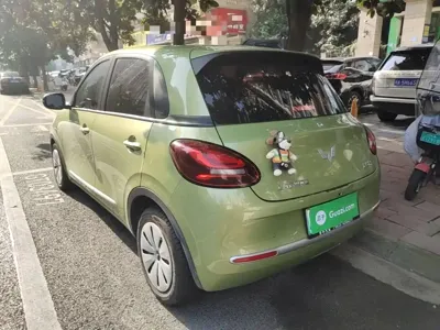 Wuling Bingo