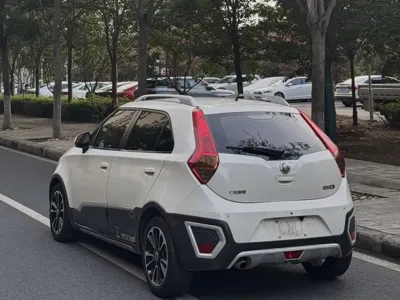 MG 3SW