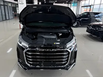 大通 G20