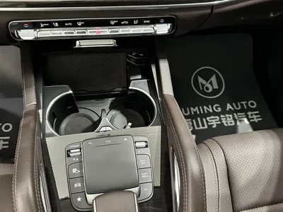 Mercedes-Benz 奔驰GLE(进口)
