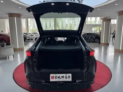 Volkswagen 06