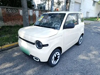Galaxy Panda