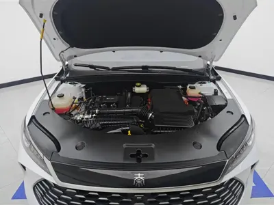 BYD Qin Plus