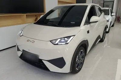 BYD Seagull
