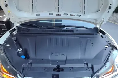 NETA V