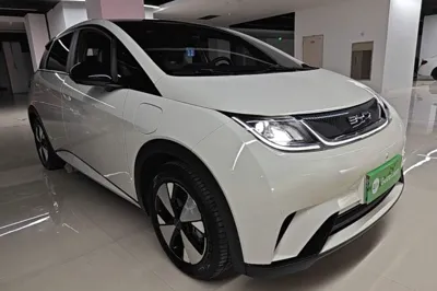 BYD Dolphin