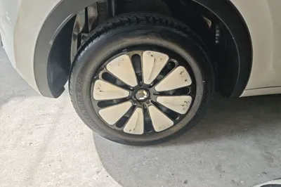 Wuling Bingo