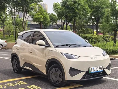 BYD Seagull