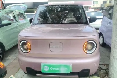 Geely Galaxy Panda