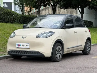 Wuling Bingo