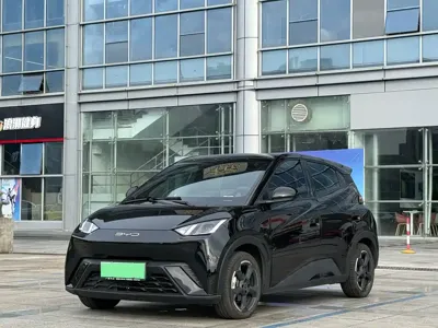 BYD Seagull