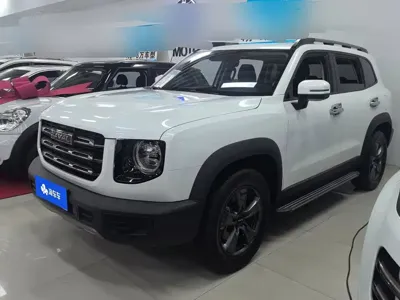 Haval Big Dog