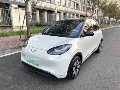 Wuling Bingo