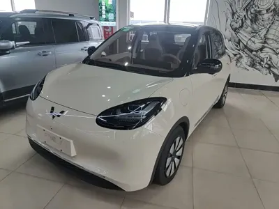 Wuling Bingo