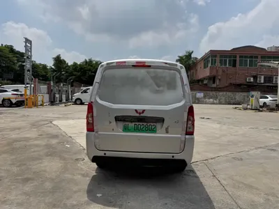 Wuling Wuling EV50