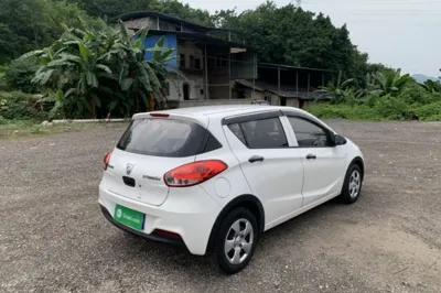 Baojun 310