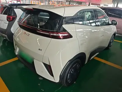 BYD Seagull
